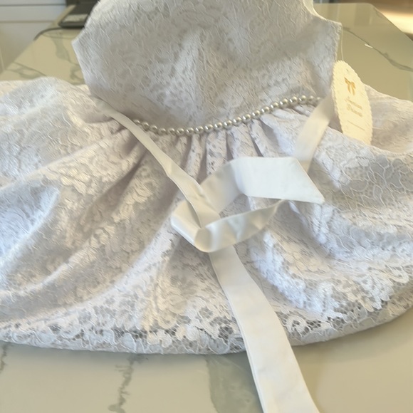 NWT Beautiful American Princess girls formal dress - Picture 9 of 12